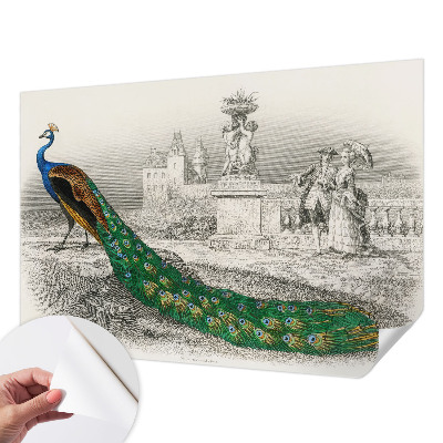 Zelfklevend fotobehang Kleurrijke veren