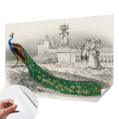 Zelfklevend fotobehang Kleurrijke veren