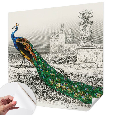 Zelfklevend fotobehang met een kleurrijk verenmotief