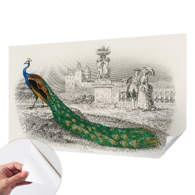 Zelfklevend fotobehang Kleurrijke veren