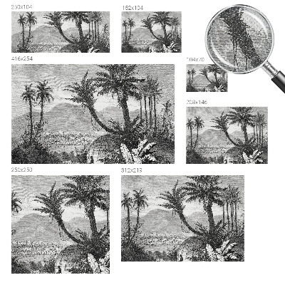 Zelfklevende behangsticker Tropische oase