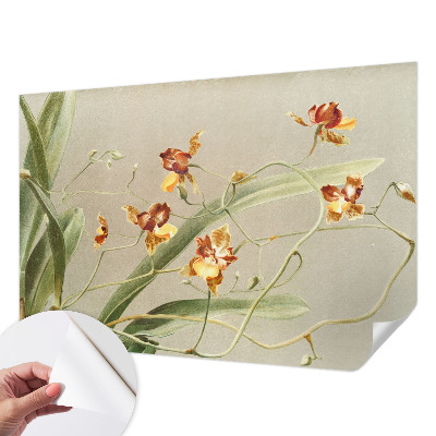 Fotobehang voor de kinderkamer met een klassiek ontwerp van orchideeën