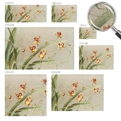 Fotobehang voor de kinderkamer met een klassiek ontwerp van orchideeën