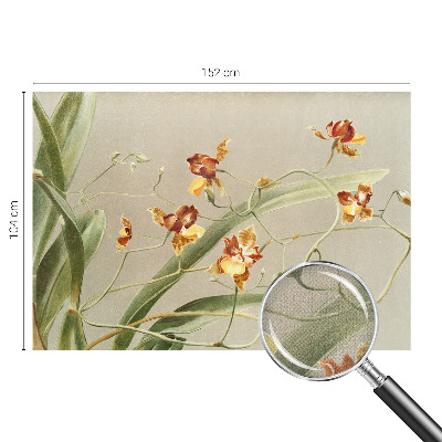 Fotobehang voor de kinderkamer met een klassiek ontwerp van orchideeën
