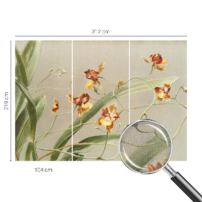 Fotobehang voor de kinderkamer Klassieke orchideeën