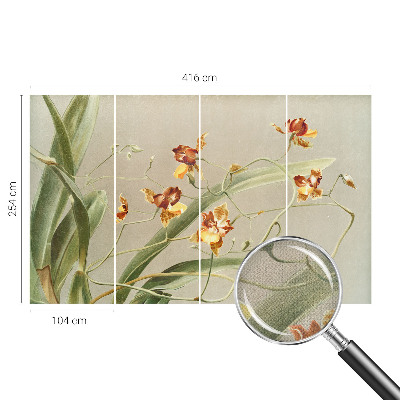 Fotobehang voor de kinderkamer met een klassiek ontwerp van orchideeën