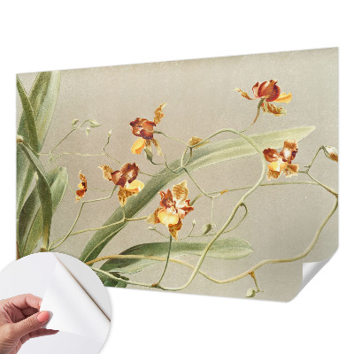 Fotobehang voor de kinderkamer met een klassiek ontwerp van orchideeën