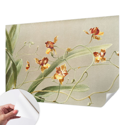 Fotobehang voor de kinderkamer met een klassiek ontwerp van orchideeën