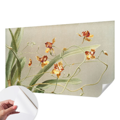 Fotobehang voor de kinderkamer Klassieke orchideeën