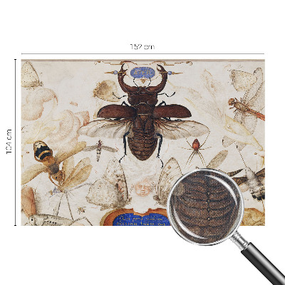 Zelfklevende behangsticker Natuurlijke harmonie