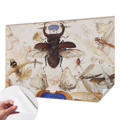 Zelfklevende behangsticker Natuurlijke harmonie