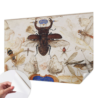 Zelfklevende behangsticker Natuurlijke harmonie