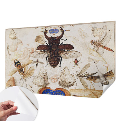 Zelfklevende behangsticker Natuurlijke harmonie