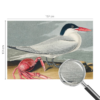 Fotobehang tienerkamer Zeegezicht