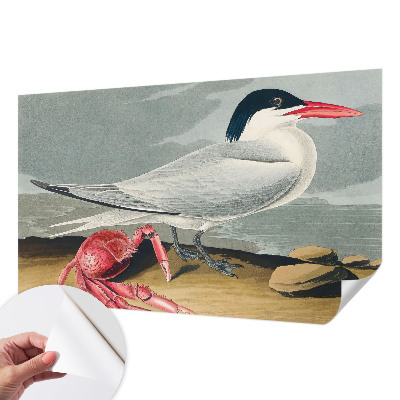 Fotobehang tienerkamer Zeegezicht