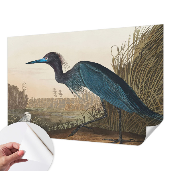 Fotobehang tienerkamer Watervogels