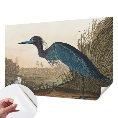 Fotobehang tienerkamer Watervogels