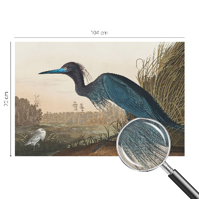 Fotobehang tienerkamer Watervogels