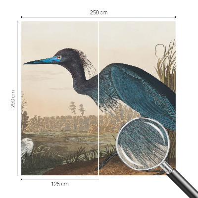 Fotobehang tienerkamer Watervogels