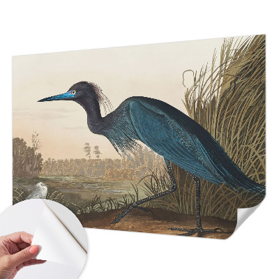 Fotobehang tienerkamer Watervogels