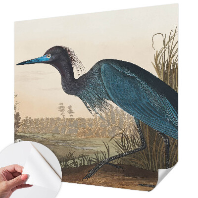Fotobehang tienerkamer Watervogels