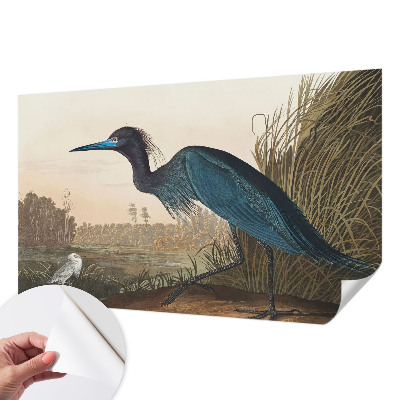 Fotobehang tienerkamer Watervogels