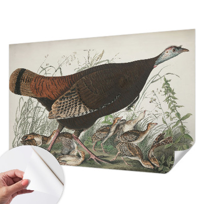 Fotobehang babykamer Natuurlijke harmonie