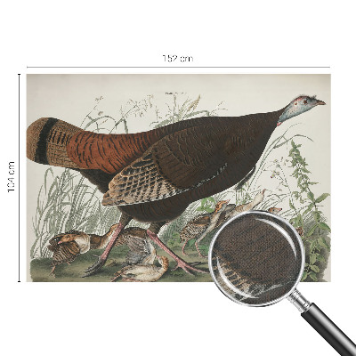 Fotobehang babykamer Natuurlijke harmonie