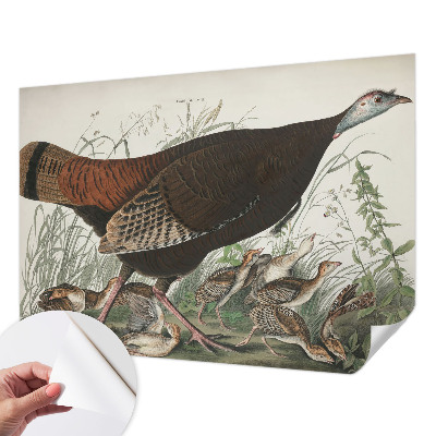 Fotobehang babykamer Natuurlijke harmonie