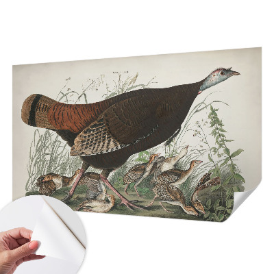 Fotobehang babykamer Natuurlijke harmonie