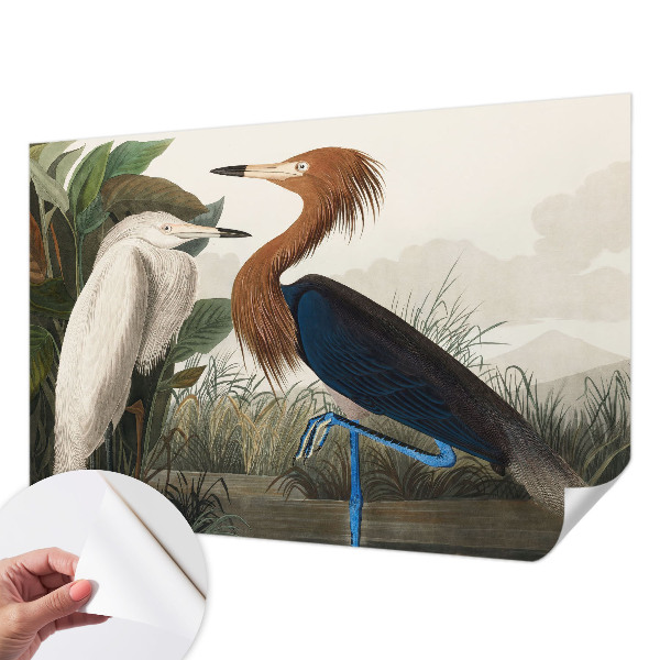 Zelfklevend fotobehang met een print van vogels tussen planten