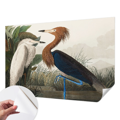 Zelfklevend fotobehang met een print van vogels tussen planten