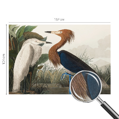 Zelfklevend fotobehang met een print van vogels tussen planten