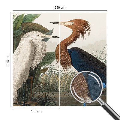 Zelfklevend fotobehang met een print van vogels tussen planten