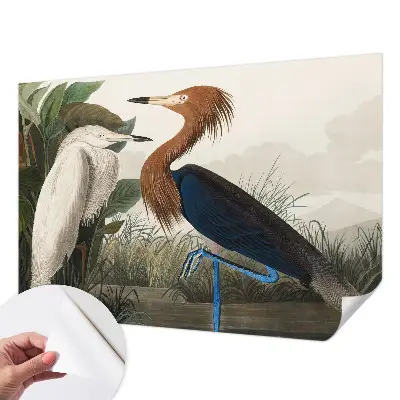 Zelfklevend fotobehang met een print van vogels tussen planten