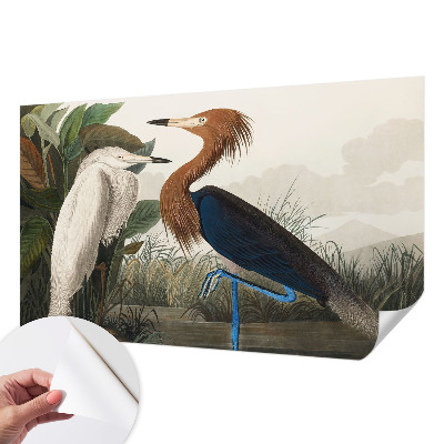 Zelfklevend fotobehang Vogels in planten