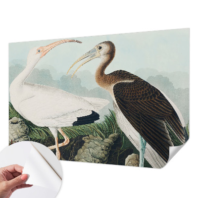 Foto behang voor de keuken met een vogelpaar als motief