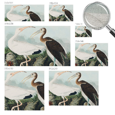 Foto behang voor de keuken met een vogelpaar als motief