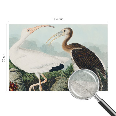 Foto behang voor de keuken Vogelpaar