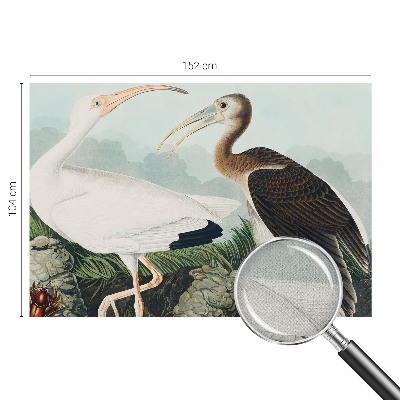 Foto behang voor de keuken Vogelpaar