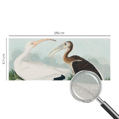 Foto behang voor de keuken met een vogelpaar als motief