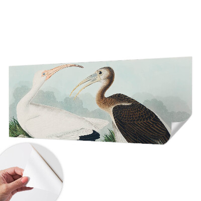 Foto behang voor de keuken met een vogelpaar als motief