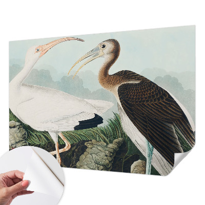 Foto behang voor de keuken met een vogelpaar als motief