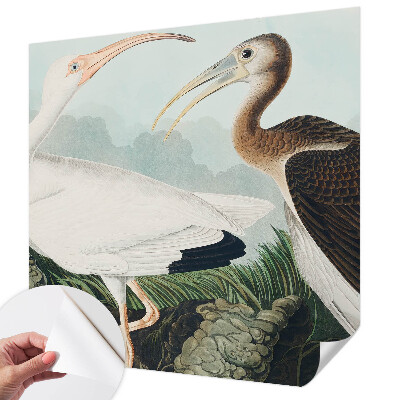 Foto behang voor de keuken met een vogelpaar als motief