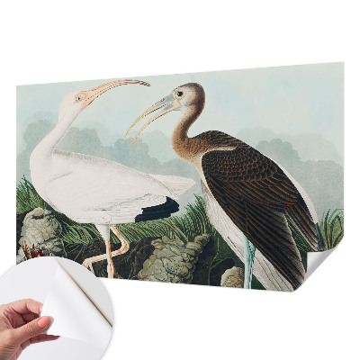 Foto behang voor de keuken met een vogelpaar als motief