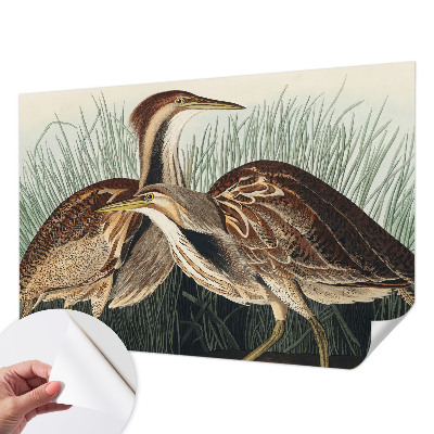 Fotobehang zelfklevend met realistische vogels als print