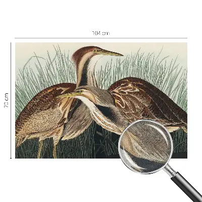 Fotobehang zelfklevend met realistische vogels als print