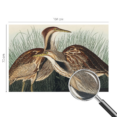 Fotobehang zelfklevend Realistische vogels