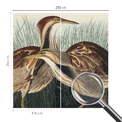 Fotobehang zelfklevend Realistische vogels
