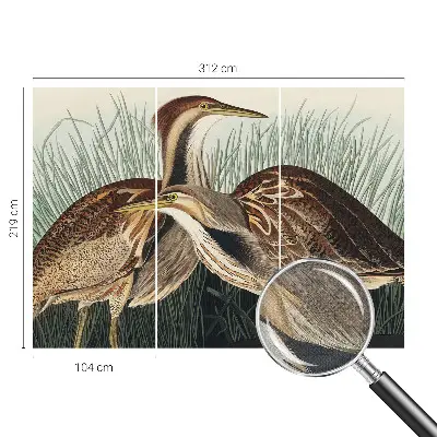 Fotobehang zelfklevend met realistische vogels als print